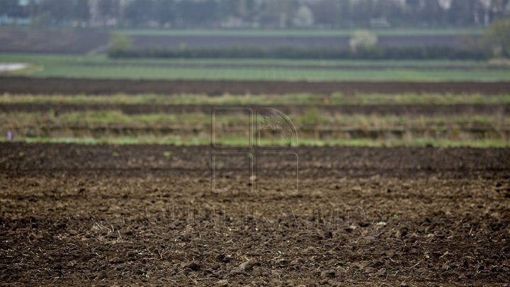 People of Ialoveni wants to return the given land to Institute for Scientific Research for Viticulture