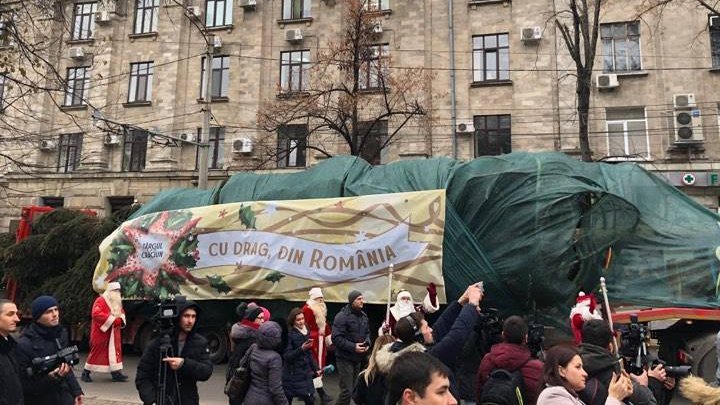 Christmas tree offered by Romanian Government reached capital