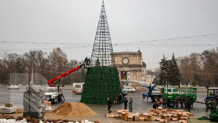 Christmas tree will be installed today in National Assembly Square (PHOTO)