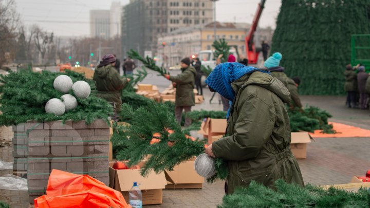 Christmas tree will be installed today in National Assembly Square (PHOTO)