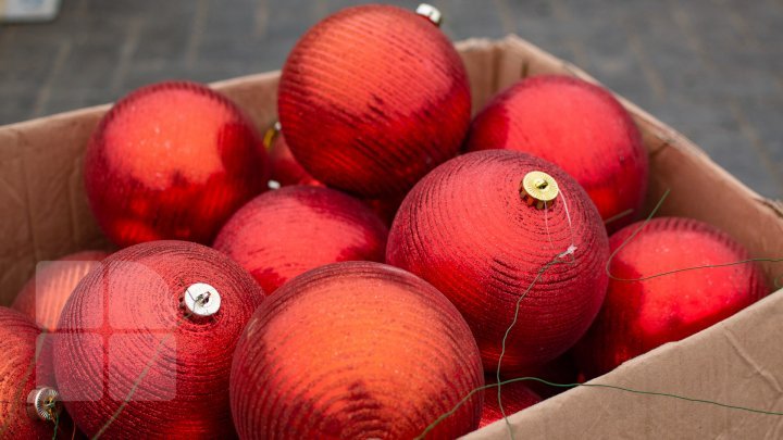 Christmas tree will be installed today in National Assembly Square (PHOTO)