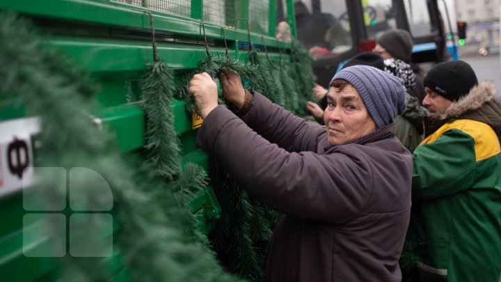 Christmas tree will be installed today in National Assembly Square (PHOTO)