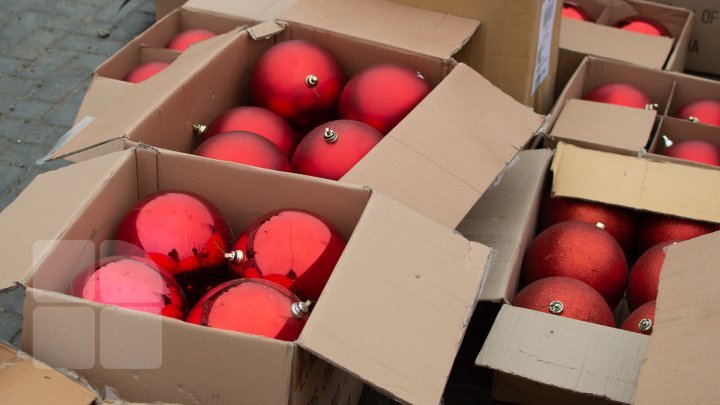 Christmas tree will be installed today in National Assembly Square (PHOTO)