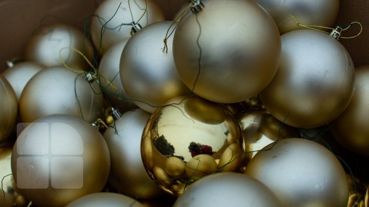 Christmas tree will be installed today in National Assembly Square (PHOTO)