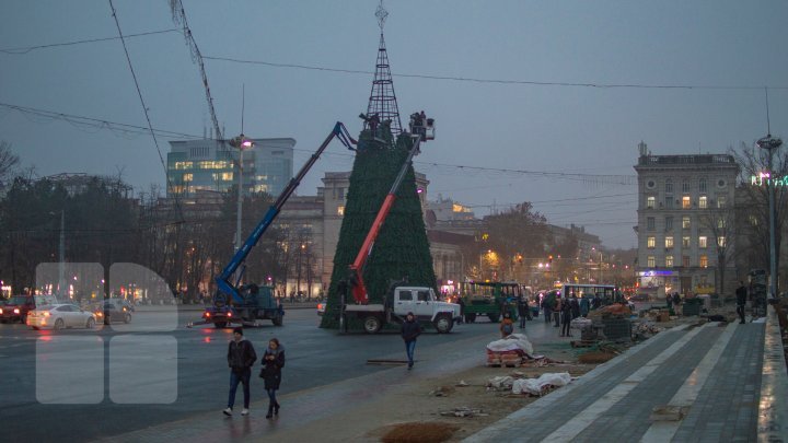 Christmas tree will be installed today in National Assembly Square (PHOTO)