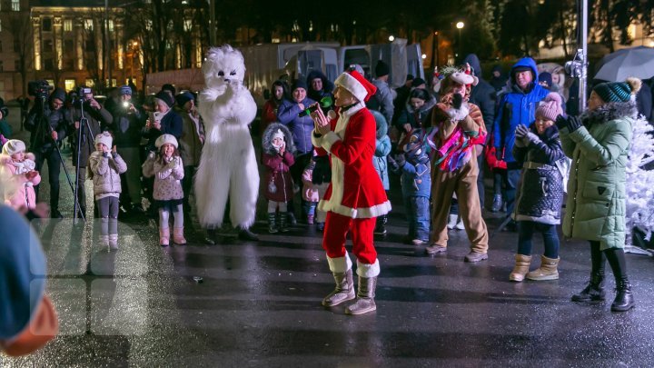 Holiday atmosphere in Capital. Christmas tree was installed in the National Assembly Square (PHOTO REPORT)