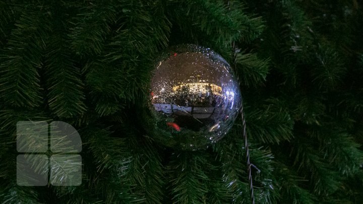 Holiday atmosphere in Capital. Christmas tree was installed in the National Assembly Square (PHOTO REPORT)