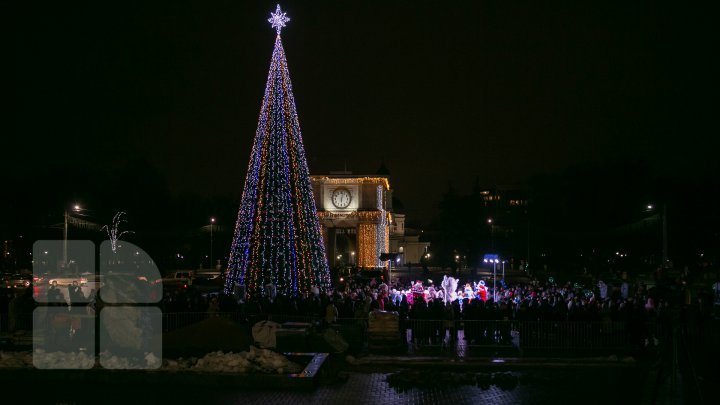 Holiday atmosphere in Capital. Christmas tree was installed in the National Assembly Square (PHOTO REPORT)