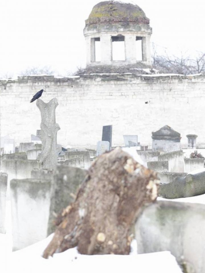 Authorities began rehabilitating the Jewish cemetery in Chisinau. Andrian Candu went to spot