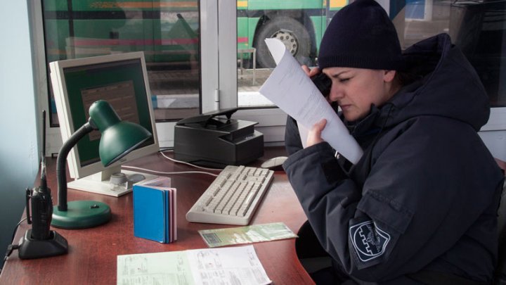 GREEN Card, the most fake document at customs. How a Ukrainian driver was caught