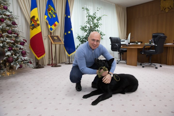 Different interview with Pavel Filip. Prime minister talked about his family and hobbies (PHOTO)