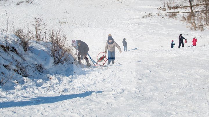 Abundant snowfall increases profit of sledges salesmen. How much does it cost and what traders say