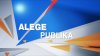 Publika TV was the main source of information for Moldovans on Sunday's elections