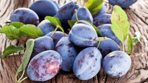 A batch of Moldovan plums destroyed in Russia 