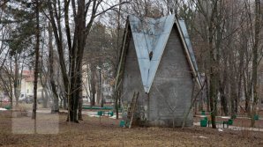 Alunelul Park will catch color. Until the City Day pavement will be repaired
