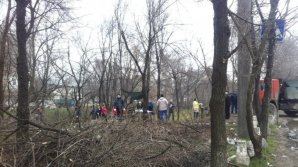 Group of volunteers removed garbage from Ciocana and Rascani parks