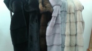 Tax evasion: He imported fur clothing in Moldova for personal use but what he did instead