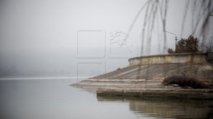 22-year-old man found drowned on Ghidighici. He left note "Don't look for me, I'm away" and disappeared