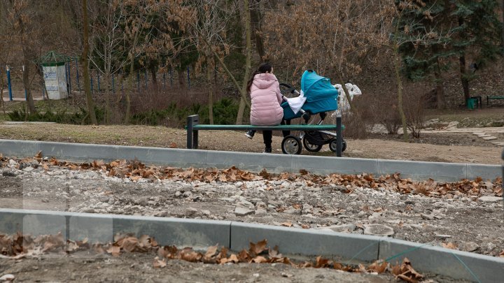 Rose Valley park to wear new dress. Renovation set off in Capital park (Photoreport)