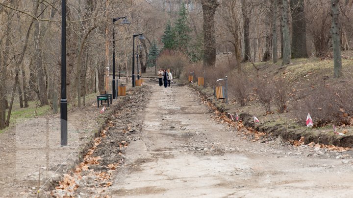 Rose Valley park to wear new dress. Renovation set off in Capital park (Photoreport)