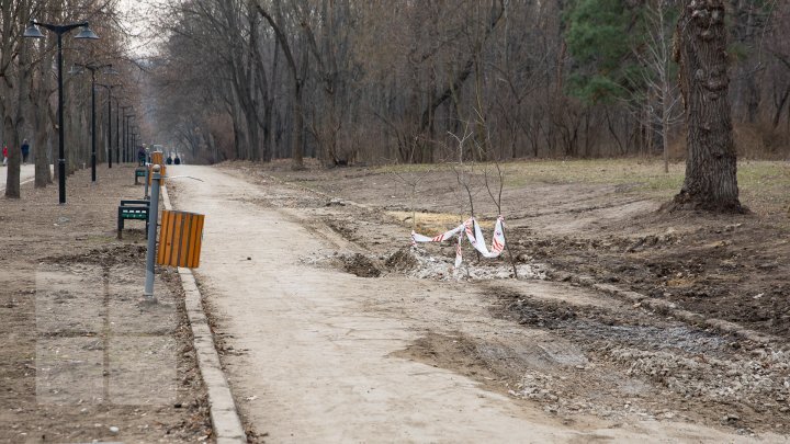 Rose Valley park to wear new dress. Renovation set off in Capital park (Photoreport)