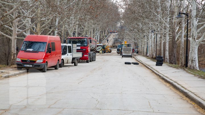 Rose Valley park to wear new dress. Renovation set off in Capital park (Photoreport)