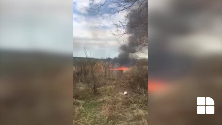 Vegetation land near South Bus Terminal caught fire (VIDEO)