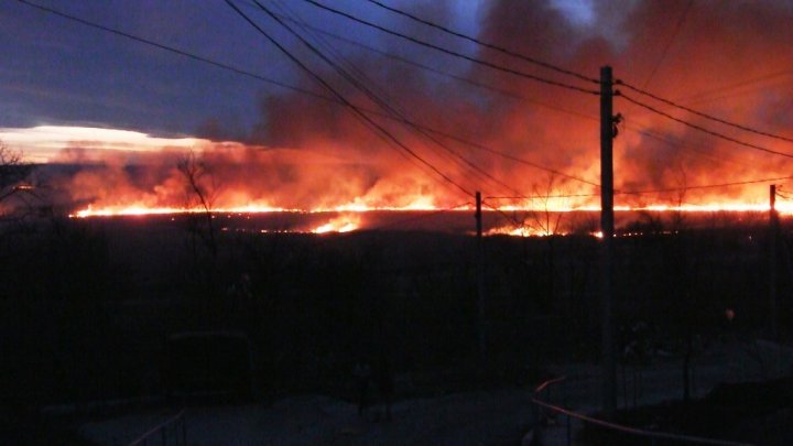 Dozens hectares of reeds from Cahul submerged in flames (video)