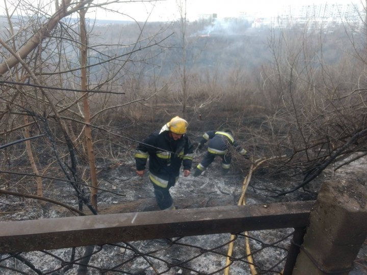 Alert! Firemen intervened in over 100 cases of grass fire in the past 24 hours 