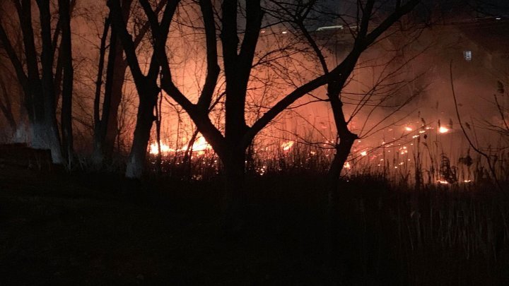 Blaze burning a land on Albişoara street in Chisinau (video)