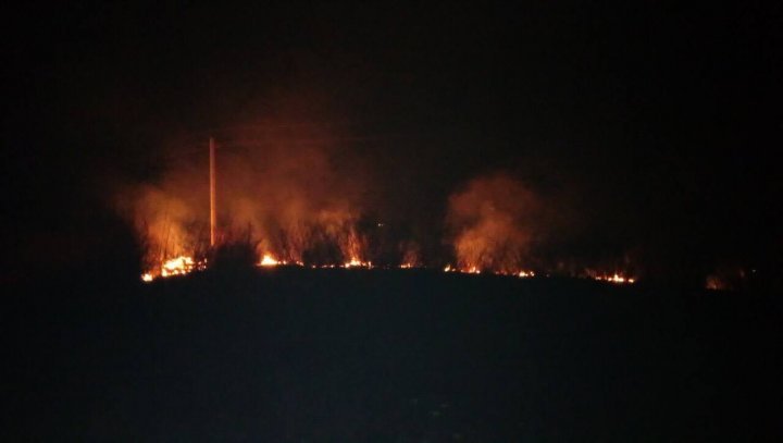 Moldova caught fire. Firemen extinguished 98 fire outbreaks all over the country