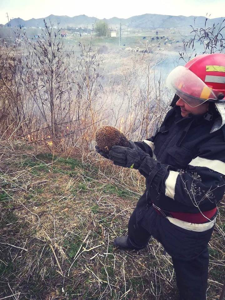 Moldova caught fire. Firemen extinguished 98 fire outbreaks all over the country