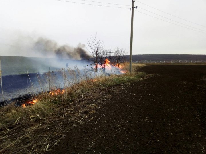 Moldova caught fire. Firemen extinguished 98 fire outbreaks all over the country