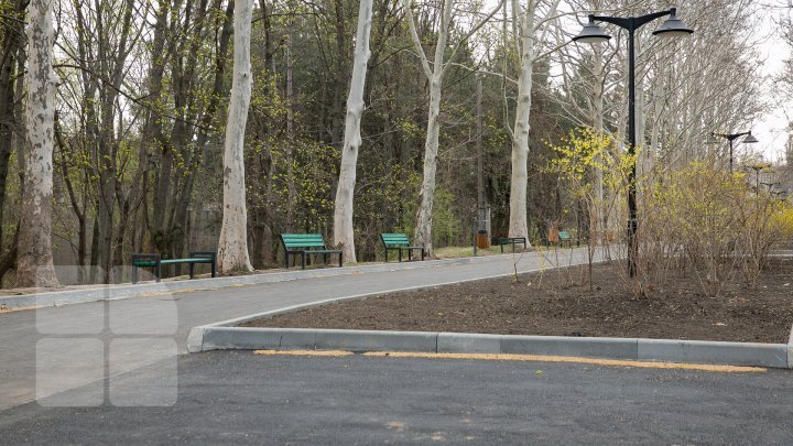 Rose Valley park looks different now (PHOTO REPORT)