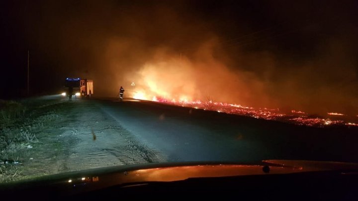 Another vegetation fire near Sculeni Customs, covering hectares of land 