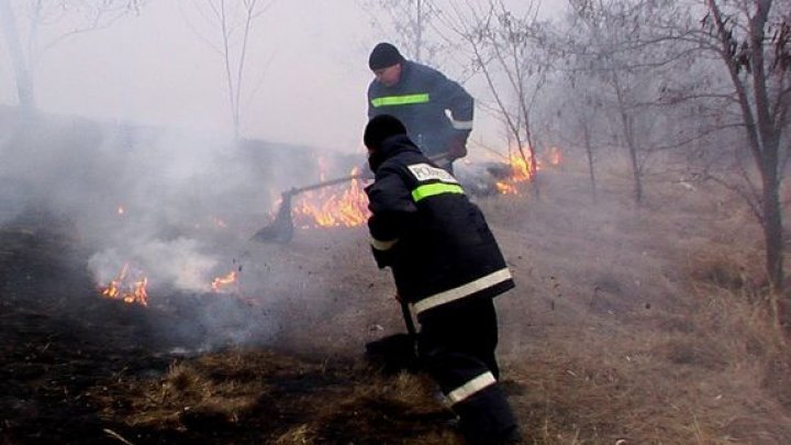 Moldova caught fire. Firemen extinguished 50 fire outbreaks all over the country