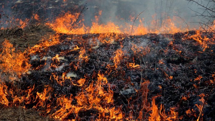 Fire in Moldova. Firefighters intervened in 82 cases over last 24 hours