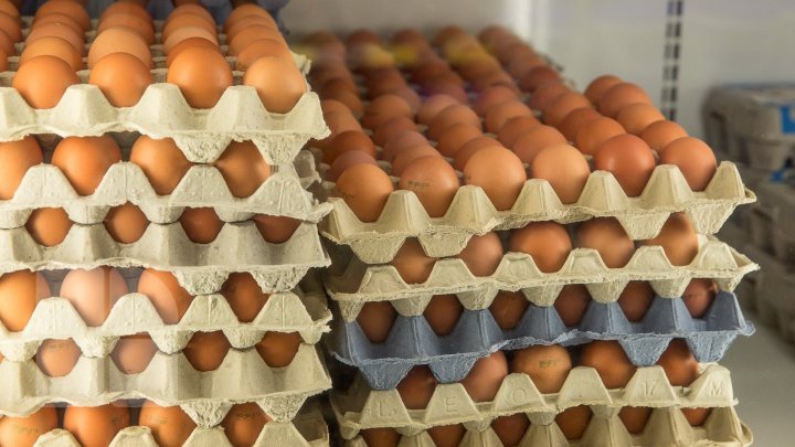 GOOD NEWS for poultry farmers. Eggs and poultry meat could reach consumers in the EU