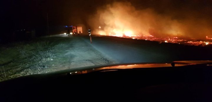 Another vegetation fire near Sculeni Customs, covering hectares of land 