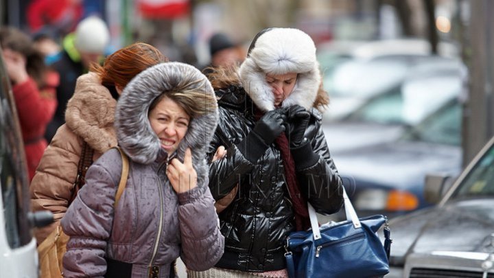 Yellow Warning of gale across Moldova. Weather forecast for coming days 