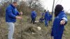 Democratic Party of Moldova to set off tree-planting campaign across the country 