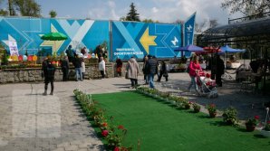 Easter holidays comes to us. What gift to buy on Floriilor Holiday