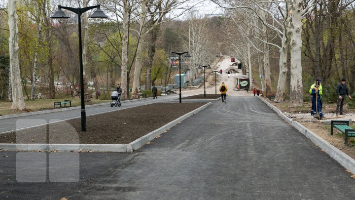 A group of teenagers scared people and vandalized Valley of Rose Park