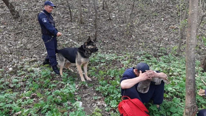 A man from Soroca, detained by dog Rex. How he was found