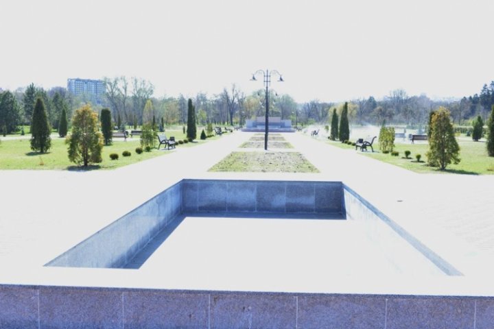 3.000 roses to be planted in Dendrariu park from Chisinau (PHOTO)