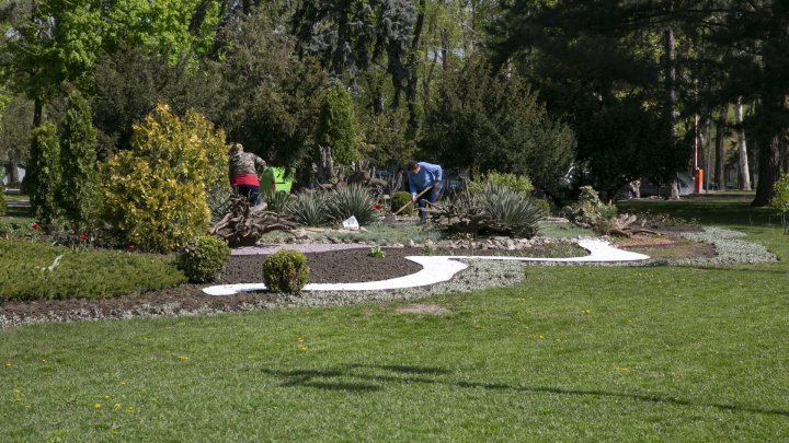 Holiday atmosphere in Capital. Easter decorations in Cathedral Square (PHOTO REPORT)