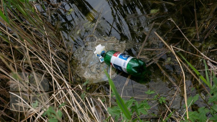 Poignant images of Chisinau environment once Easter is gone (photo report) 