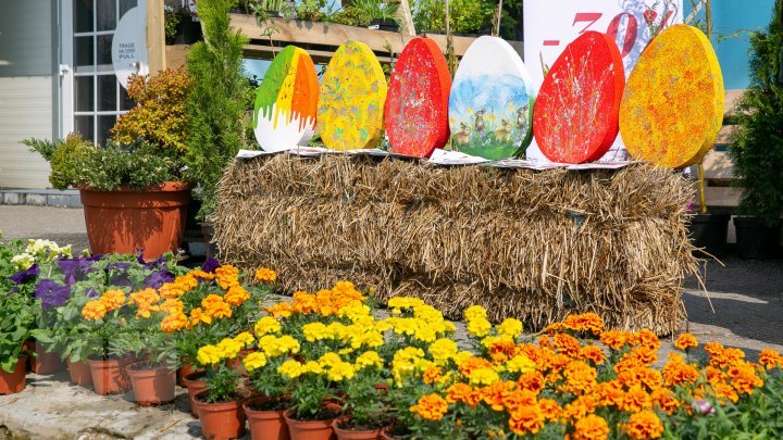 Easter holidays comes to us. What gift to buy on Floriilor Holiday