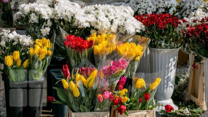 Flower sellers from Capital to be checked by fiscal service 