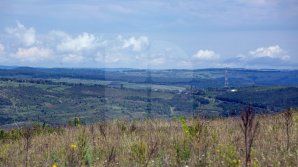 Weather forecast for May 14, 2019